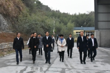 中國建材集團黨委書記、董事長周育先調(diào)研巨石九江鈣業(yè)公司